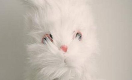 "Śmierć Bunny'ego Munro"