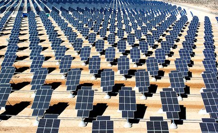 Australijczycy z pomocą Tesli zbudują największą na świecie farmę solarną