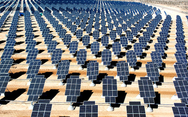 Australijczycy z pomocą Tesli zbudują największą na świecie farmę solarną