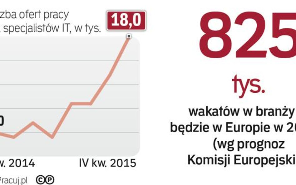 Specjaliści IT od kilku lat są elitą rynku pracy