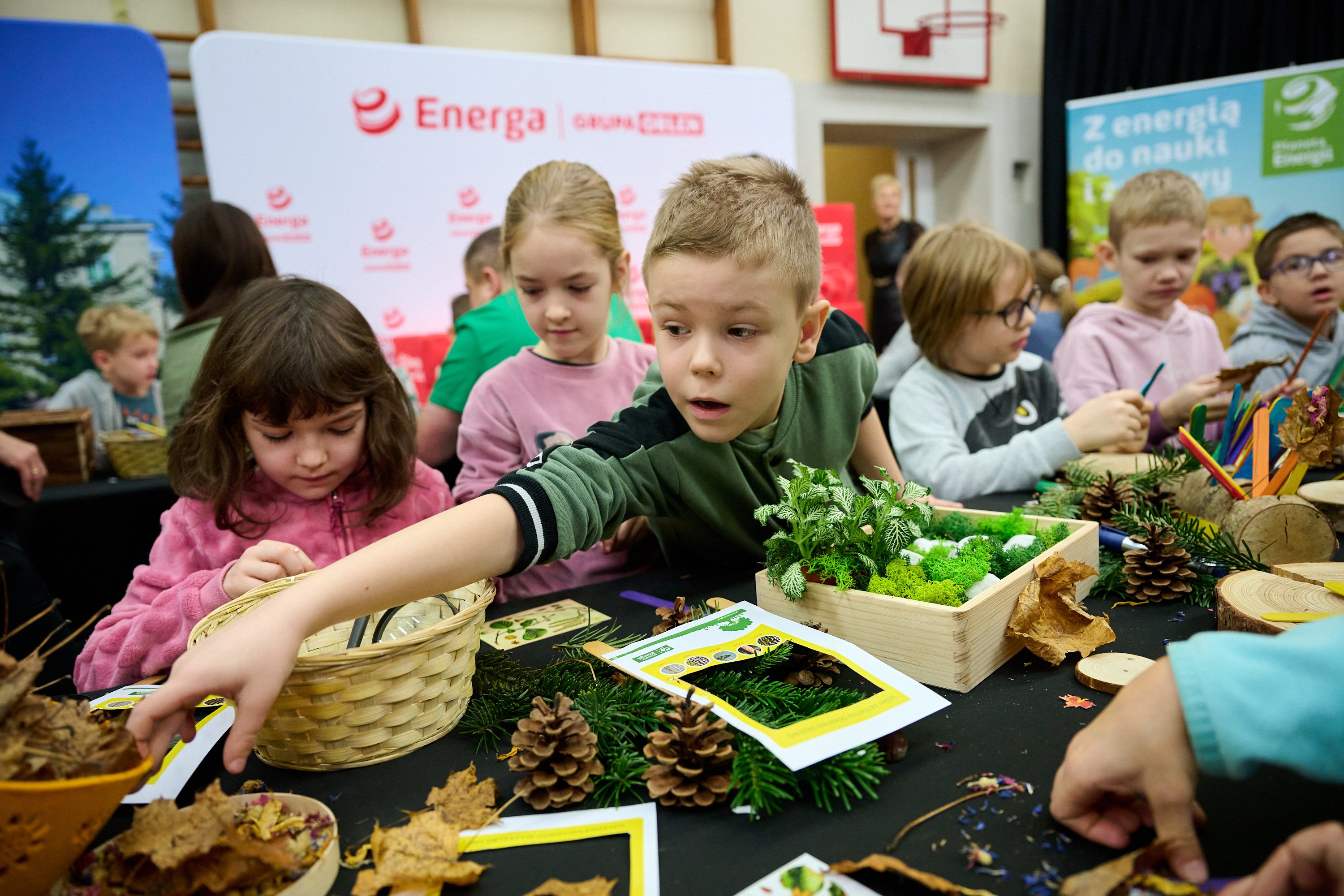 Bogactwo zielonych pomysłów