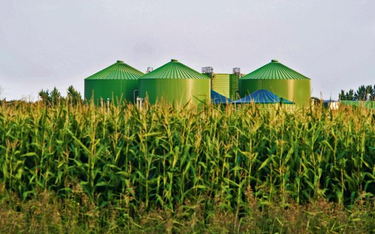 Biogazownie w Polsce rozwijają się w dobrym kierunku