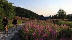 Na Hali Gąsienicowej zanotowano w środę 26,4 stopnia, a rekord wynosi 26,5 stopnia