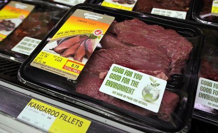 Producenci mięsa z kangurów liczą na Chiny