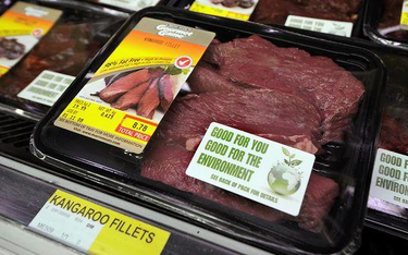 Producenci mięsa kangurzego liczą na Chiny