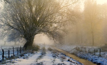 Czy można zasypać rów na działce