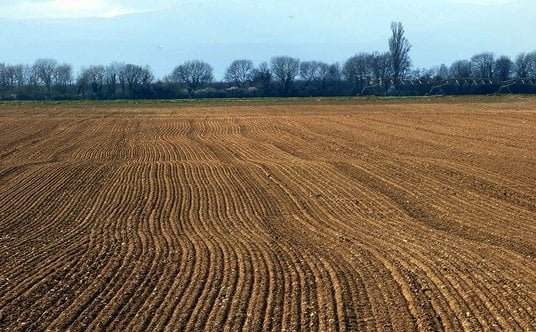 Badacze najpierw ogólnie określili skład mikrobiomu gleby. Następnie, w najliczniejszych grupach dro