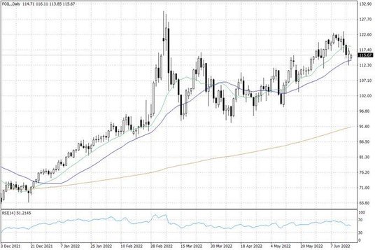 Notowania ropy naftowej WTI – dane dzienne