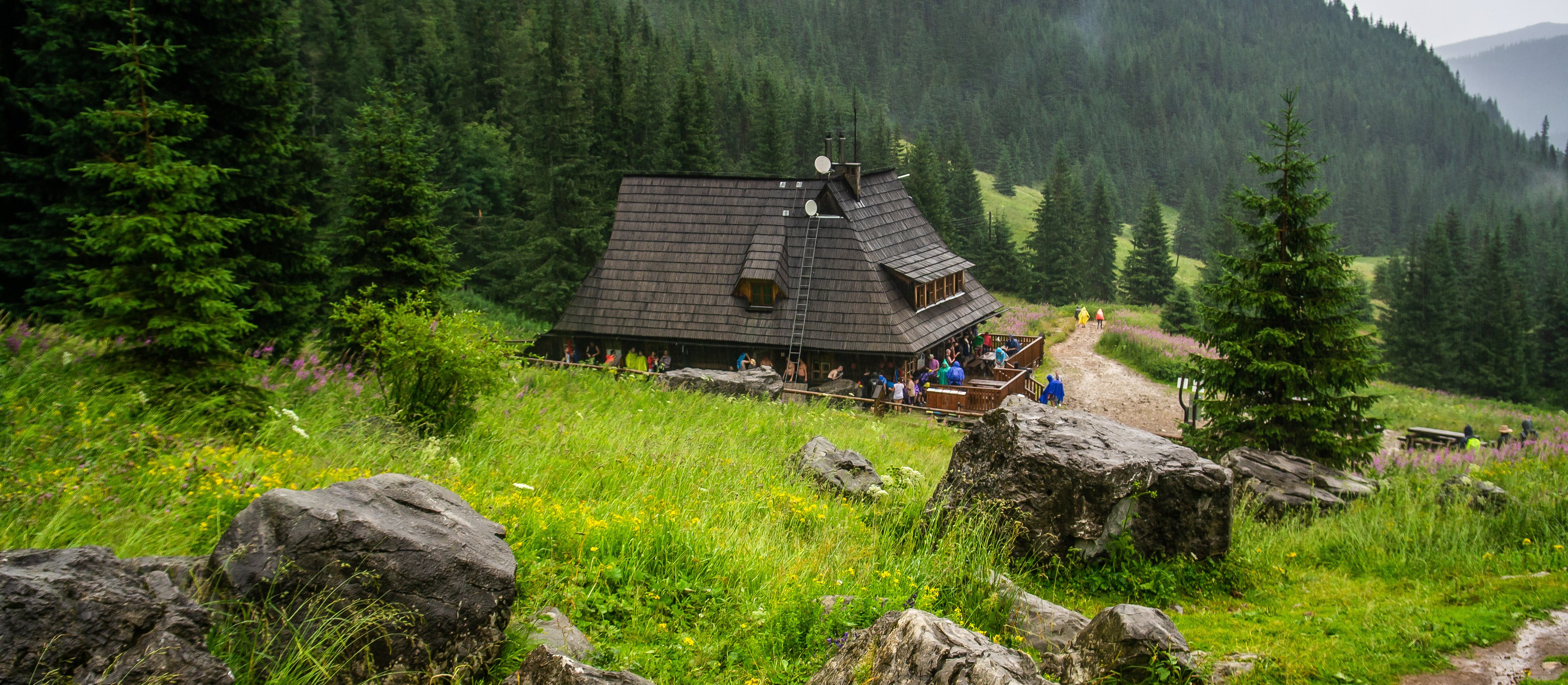 W piątek może padać i mocniej wiać. Jaka będzie pogoda w weekend?