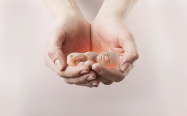 Sąd: plakat z abortowanym dzieckiem to nie wybryk