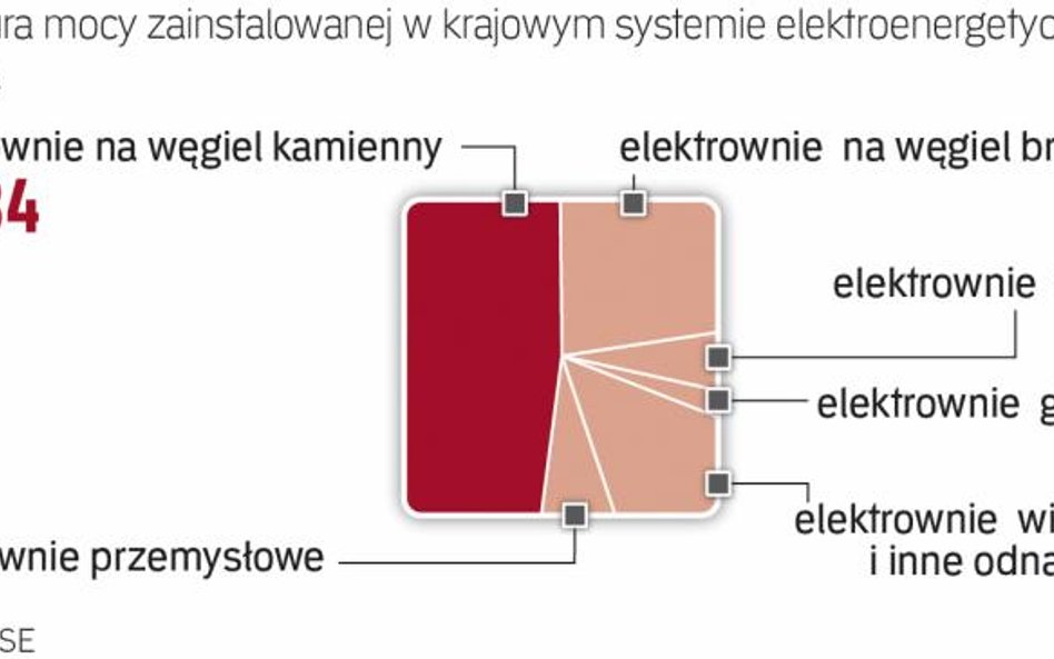 Polski rząd chciałby zmiany celów do 2030 roku.