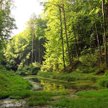 Roztocze, gdzie wydobywana jest woda mineralna Rodowita, ma niezwykłe walory przyrodnicze. W 2010 ro