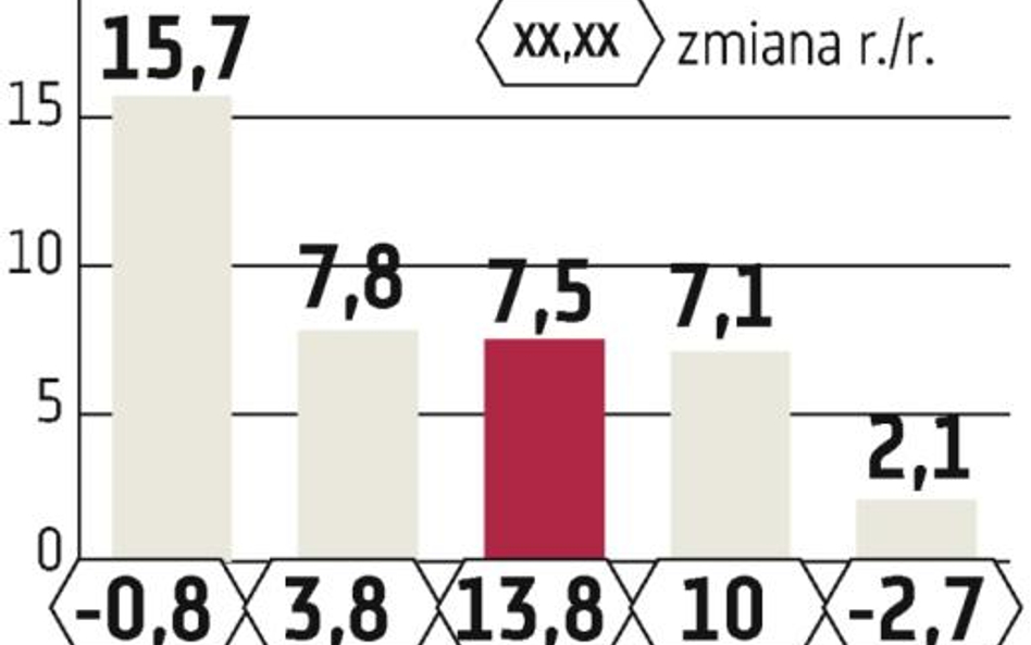 Alma, Eko Holding: Średnie sklepy będą rosły najszybciej