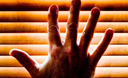 fot. woodleywonderworks