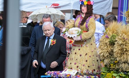 Wicepremier, prezes PiS Jarosław Kaczyński na dożynkach diecezjalno-wojewódzko-powiatowo-gminnych w 