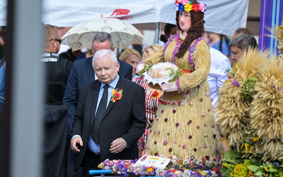 Wicepremier, prezes PiS Jarosław Kaczyński na dożynkach diecezjalno-wojewódzko-powiatowo-gminnych w 