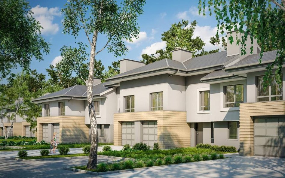 Triton Development pod kreską