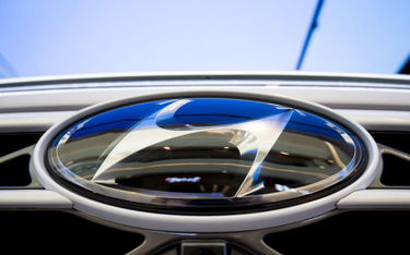 Akcje naprawcze „zjadły” zysk Hyundaia