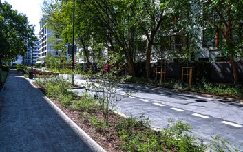 Dotychczas nieprzejezdna i zarośnięta dziką zielenią ulica, została przekształcona w tzw. woonerf