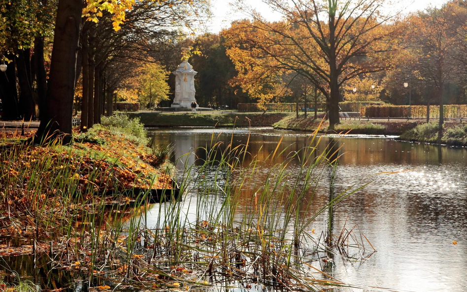 To miejsce w berlińskim parku Tiergarten według koalicji byłoby najlepsze na pomnik poświęcony świad