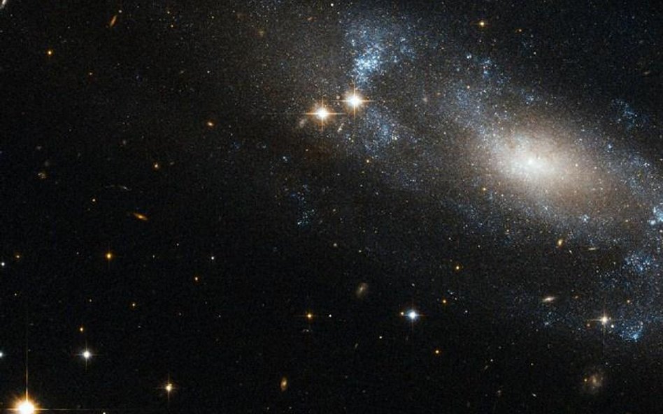 NASA i Roskosmos wybrały kosmonautów do rocznej misji na orbicie
