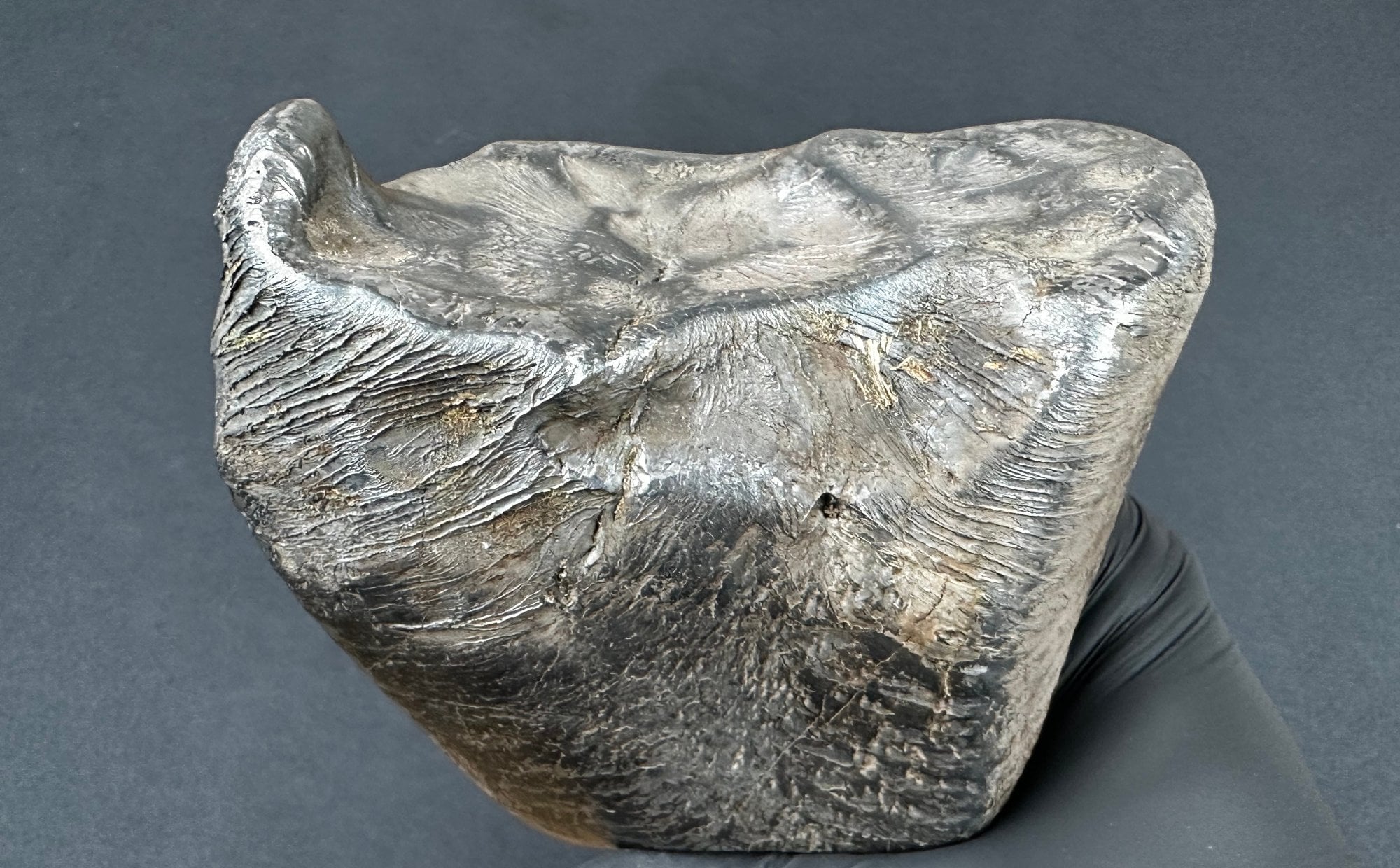 Cosmic treasure close  Lodz. An iron meteorite has been found in Poland