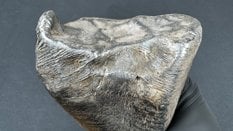Do spadku kilkukilogramowego meteorytu żelaznego doszło w gminie Zadzim