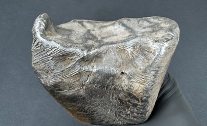 Do spadku kilkukilogramowego meteorytu żelaznego doszło w gminie Zadzim