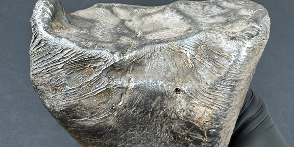 Космическое сокровище под Лодзью. В Польше найден железный метеорит