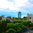 Bank Rezerw Zimbabwe