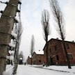 Auschwitz-Birkenau