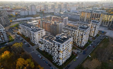 Park Skandynawia na finiszu