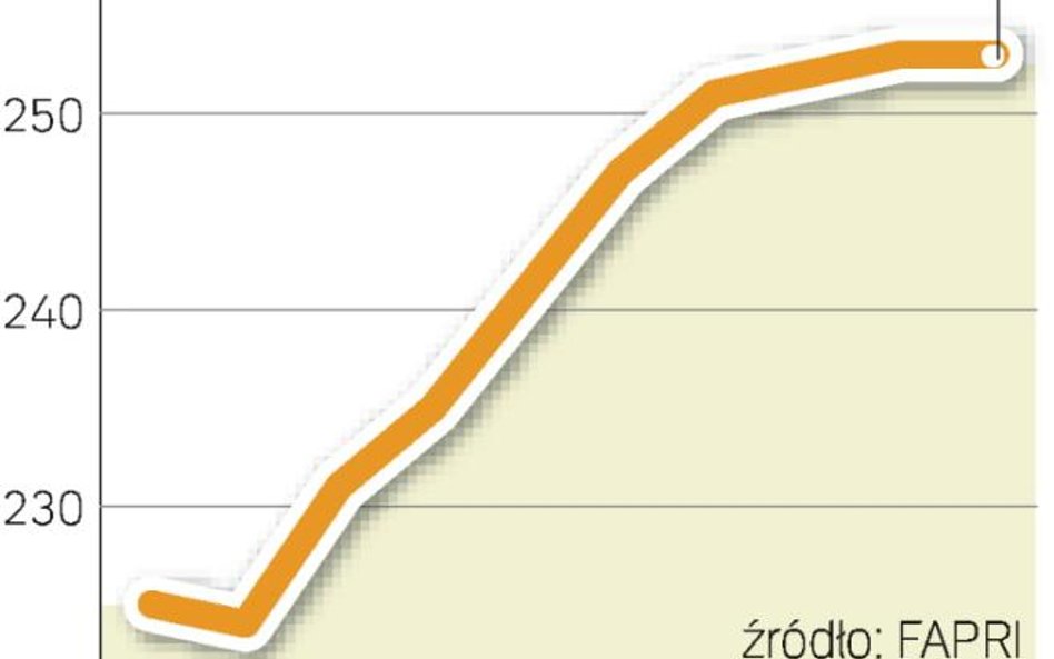 Duże zapasy zbóż nie pozwolą na szybkie odbicie cen. Mocne zwyżki nastąpią jednak w kolejnych latach