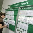 Urząd pracy nie pomoże