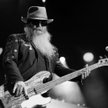 Dusty Hill, basista ZZ TOP nie żyje