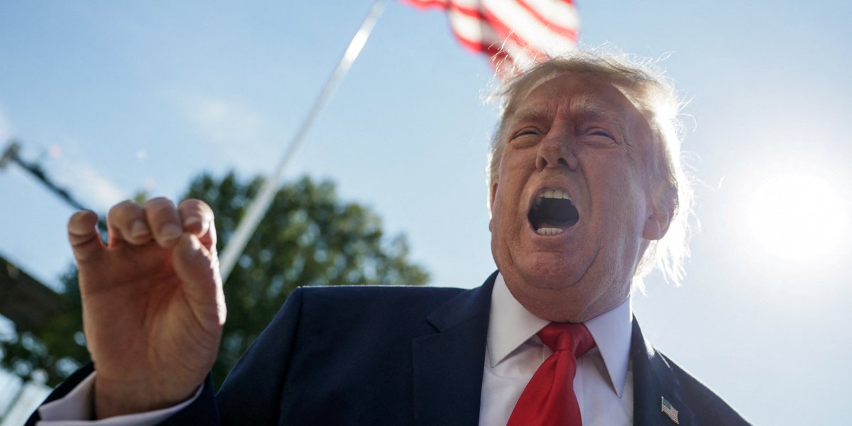Professor who predicted Trump's win now forecasts Democrats take Senate