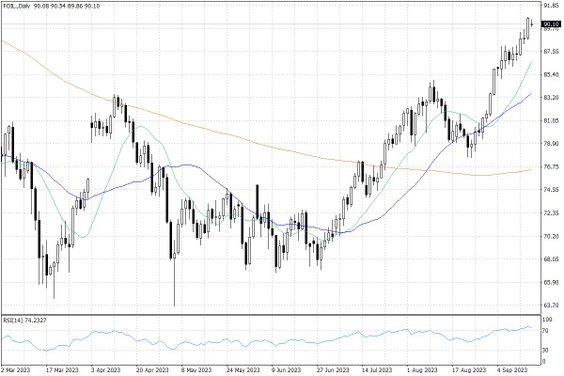 Notowania ropy naftowej WTI – dane dzienne