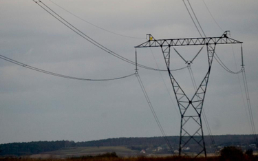 Litwa ogłosi bojkot prądu z Białorusi