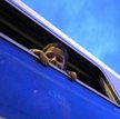 "Rozróżnić emigrantów zarobkowych od uchodźców"