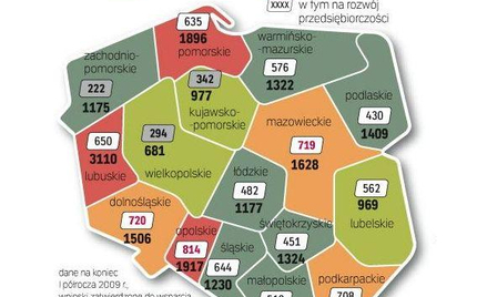 Lubuskie najlepiej bierze dotacje