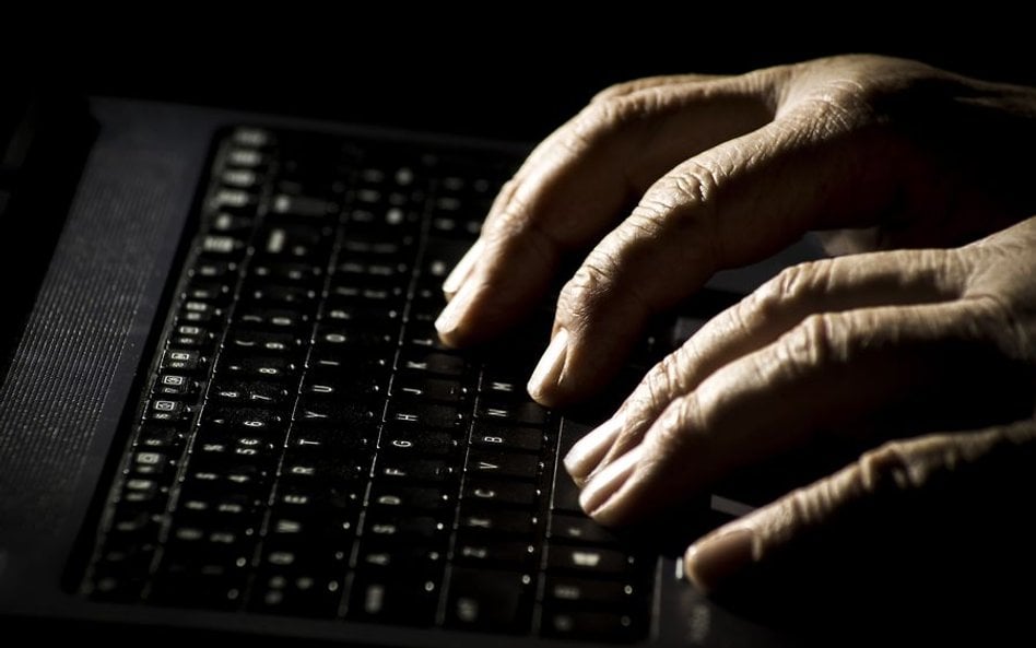Nowe dane: Epidemia sprzyja aktywności pedofilów w internecie