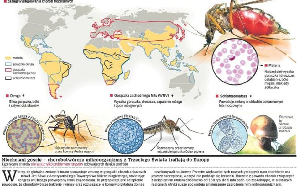Tropikalne choroby wędrują na północ