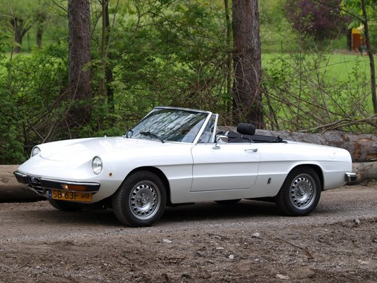 Spider Junior w dobrym stanie, takim jak ten biały egzemplarz, kosztuje co najmniej 100 000 zł.