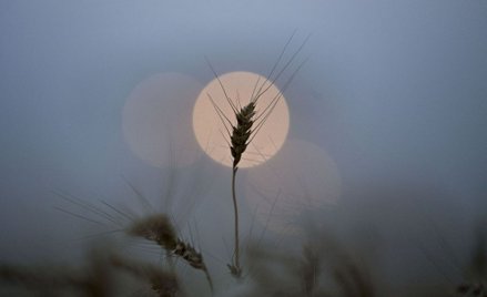 Klęski pogodowe kosztowały nas już ponad 643 mln zł