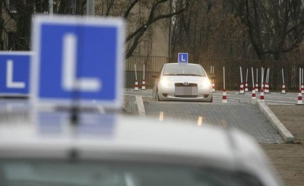 Uchybienie w szkoleniu kierowców oznacza utratę zezwolenia
