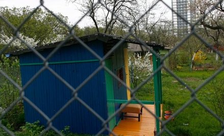 Przepisy o ogrodach działkowych w Trybunale