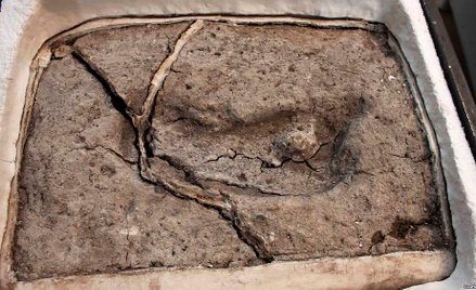 Wędrowcy sprzed tysiącleci