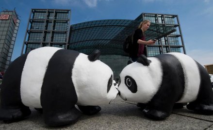 Pandy w Berlinie