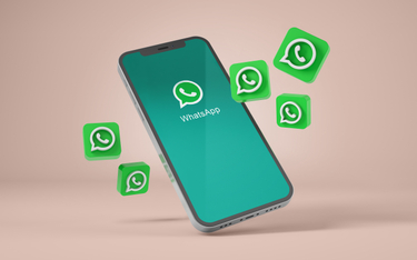 5,5 mln euro kary dla WhatsAppa