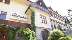 Kruche imperium „Królowej Zakopanego”